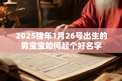 2025猪年1月26号出生的男宝宝如何起个好名字